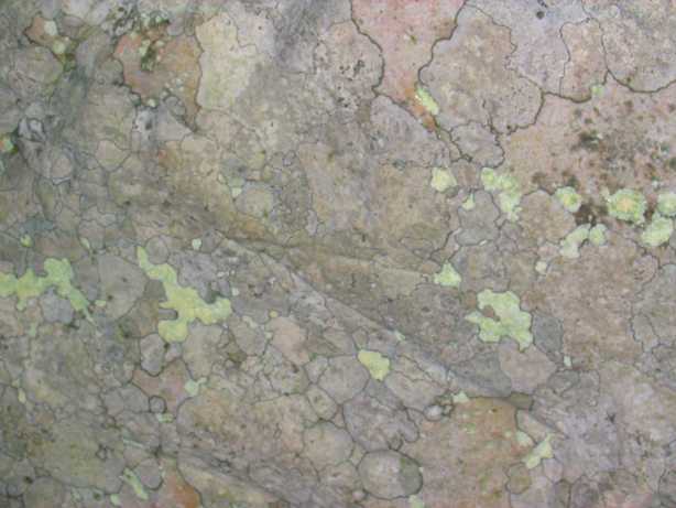 Avebury_lichen_on_stone.jpg