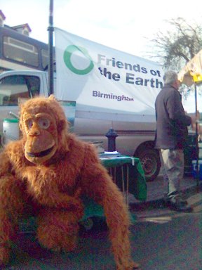 Orangutan at Moseley Farmers Market