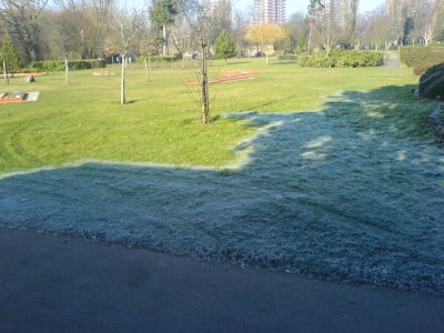 frost_shadows.jpg