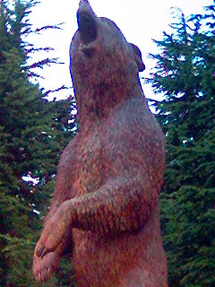 Bear carved out of a tree