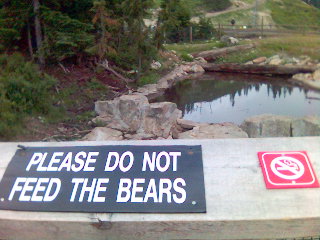 Don't give cigarettes to the bears.