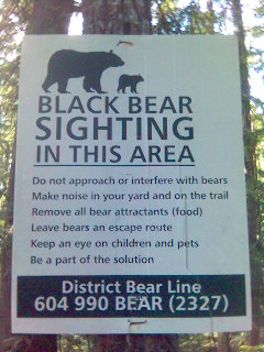 Beware the Bear...