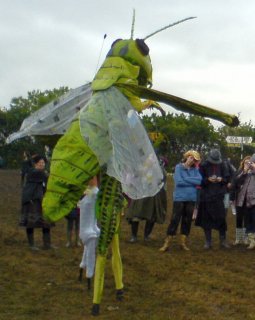 Grasshopper Man