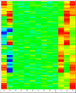 Heatmap Visualisation of Multi Objective Population Based Algorithms