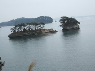 View of Pine Tree Islands