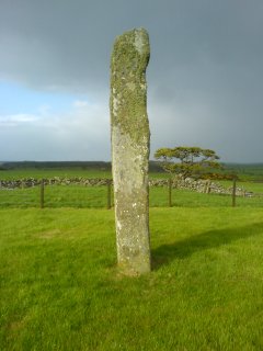 Drumtroddan Standing Stones