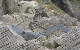 Basalt(?) taking a right angle route through limestone(?) strata.