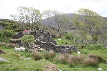 Tumble-down Cottage