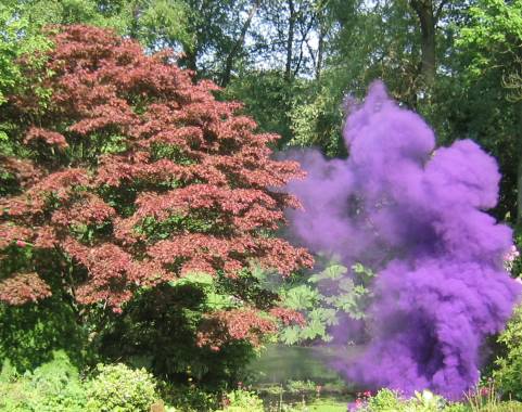 Purple Smoke